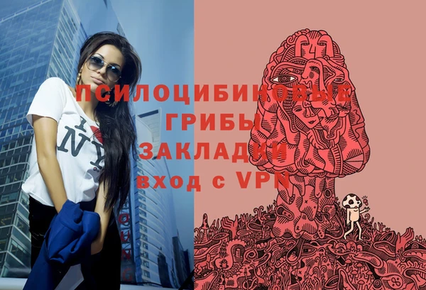 трава Арсеньев