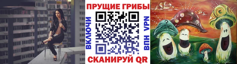 Галлюциногенные грибы MAGIC MUSHROOMS  Каргат 